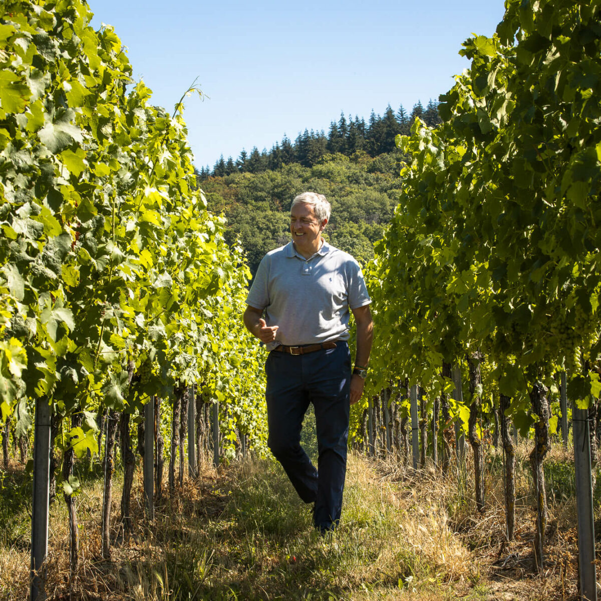 Weingut Zimmerlin